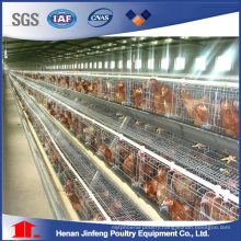 Automatic Poultry /Chicken Raising Equipment for Sale